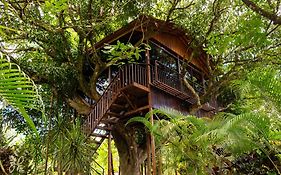 Heliconias Nature Inn